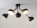 Lampa sufitowa na wysięgniku ROY 5 czarny
