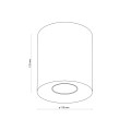 ORION M WHITE LAMPA SUFITOWA 1 PŁ