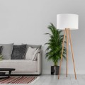 TOKYO LAMPA PODŁOGOWA 1  SOSNA/BIAŁY