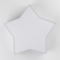 STAR GRAY LAMPA SUFITOWA 2