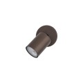 TOP BROWN 1