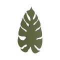 MONSTERA XL GREEN KINKIET 4  G_9