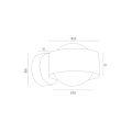 MASSIMO PLUS