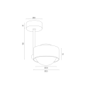 MASSIMO PLUS