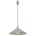 Lampa wisząca 1-punktowa NASHVILLE szałwia struktura/mosiądz