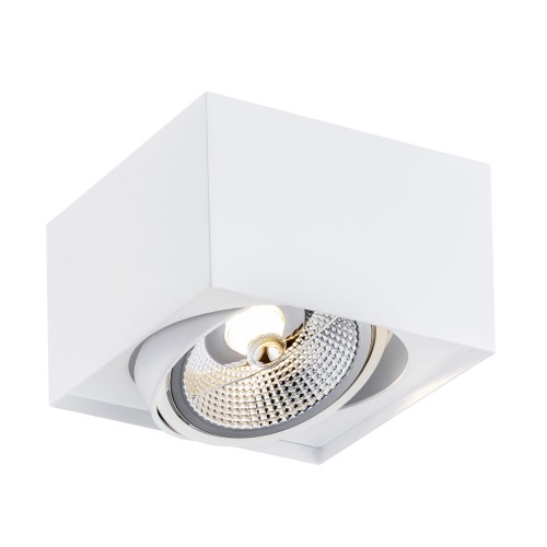 Lampa sufitowa 1-punktowa RODOS PLUS biały