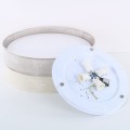 ECO LAMPA SUFITOWA 4  450