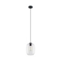 ELIO TRANSPARENT LAMPA WISZACA 1