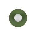 SLATE PEAPOD GLASS KINKIET 1XG9