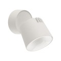 KYOTO WHITE 7W