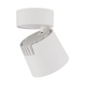 KYOTO WHITE 7W