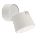 KYOTO WHITE 12W