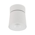 KYOTO WHITE 12W
