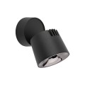 KYOTO BLACK 12W