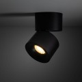 SPARK BLACK CCT 10W