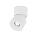 SPARK WHITE CCT 10W