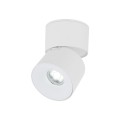 SPARK WHITE CCT 10W