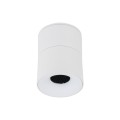 SPARK WHITE CCT 10W