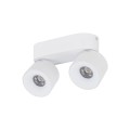 SPARK DUO WHITE CCT 20W