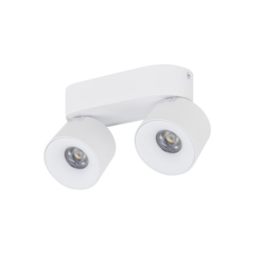 SPARK DUO WHITE CCT 20W