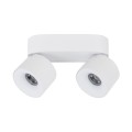 SPARK DUO WHITE CCT 20W