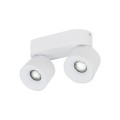 SPARK DUO WHITE CCT 20W