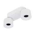 SPARK DUO WHITE CCT 20W