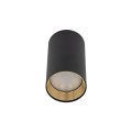 AMIS BLACK DOWNLIGHT