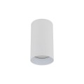 AMIS WHITE  DOWNLIGHT