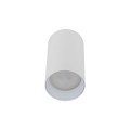AMIS WHITE  DOWNLIGHT