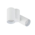 AMIS WHITE DOWNLIGHT 2XGU10