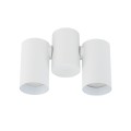 AMIS WHITE DOWNLIGHT 2XGU10