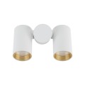 AMIS WHITE DOWNLIGHT 2XGU10