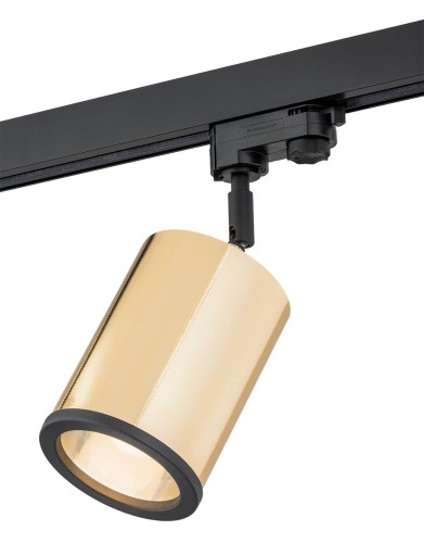 Lampa reflektor Szynoprzewód DELF 4303 Argon