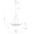 Żyrandol CHARLOTTE 6149 Argon