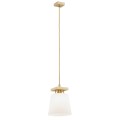 Lampa wisząca 1 pł. ARDEN 8261 ARGON