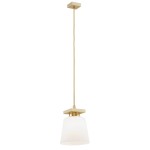 Lampa wisząca 1 pł. ARDEN 8261 ARGON