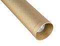 Kinkiet RIO TUBA LED GOLD z regulacją 8326 ARGON