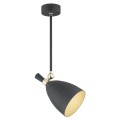 Lampa wisząca 1 pł. CHARLOTTE 4686 ARGON