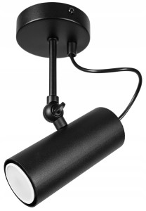 Lampa sufitowa Spot TUBA LOFT BLACK #1234 