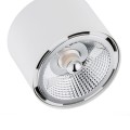 Lampa listwa reflektor obrotowy CLEVLAND LED BIAŁA 6100 ARGON