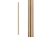 CAMELEON LASER 1000