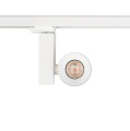 CTLS NEA LED 20W
