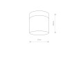 Lampa sufitowa łazienkowa CAYO IP44 biały/chrom