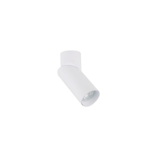 Lampa 1-punktowa natynkowa INDIA biały