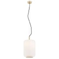 Lampa wisząca AVEIRO 4292 Argon