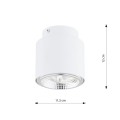 Lampa punktowa natynkowa NANO 1 WHITE