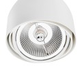 Plafon reflektor spot biały GARLAND 4710 ARGON