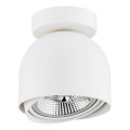 Plafon reflektor spot biały GARLAND 4710 ARGON