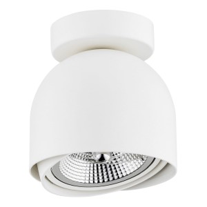 Plafon reflektor spot biały GARLAND 4710 ARGON